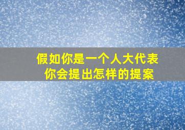 假如你是一个人大代表 你会提出怎样的提案